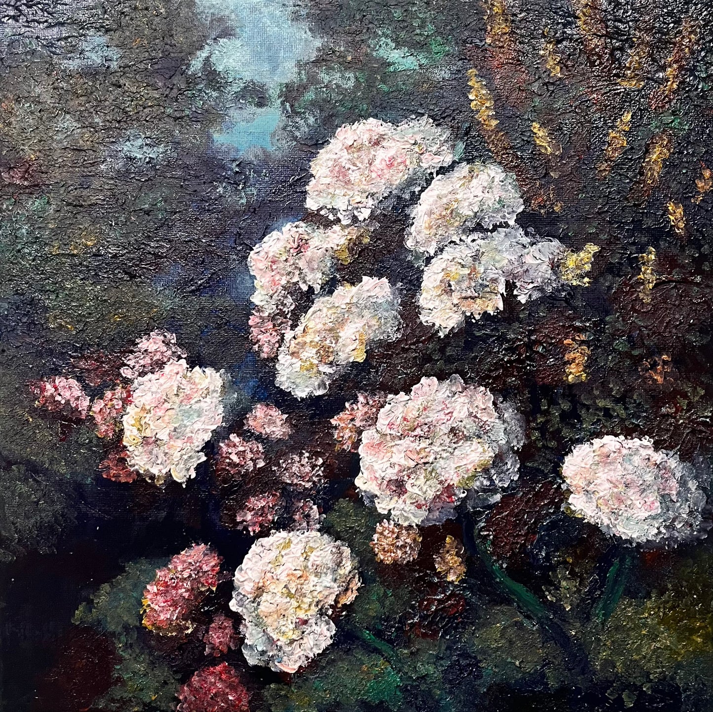 Hydrangeas